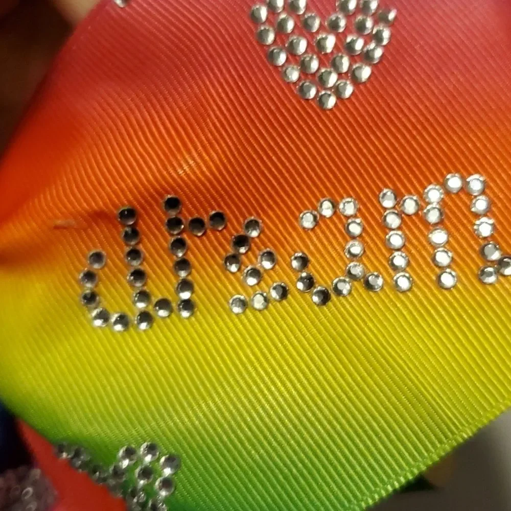 Rainbow Dream Bow